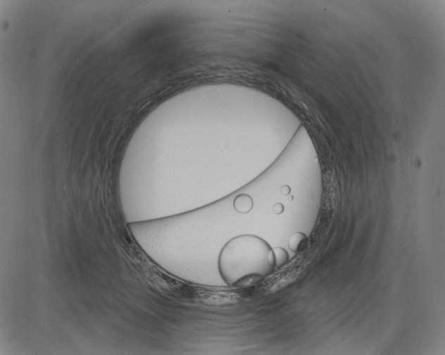 X0000083650463200703051731