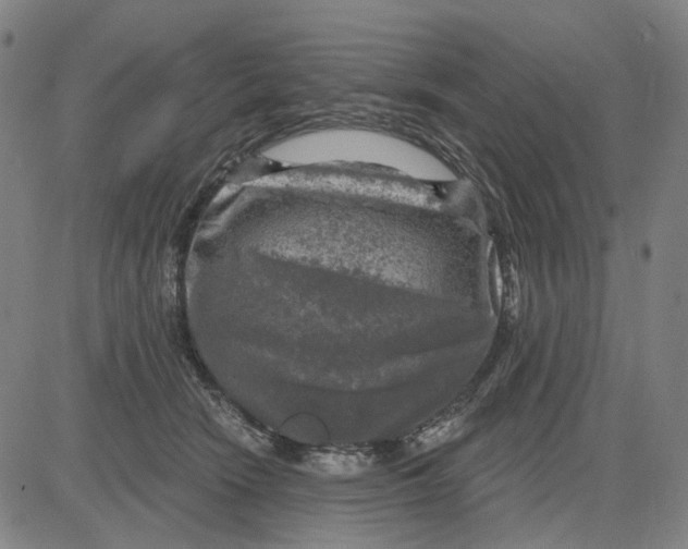 X0000083650466200703051731