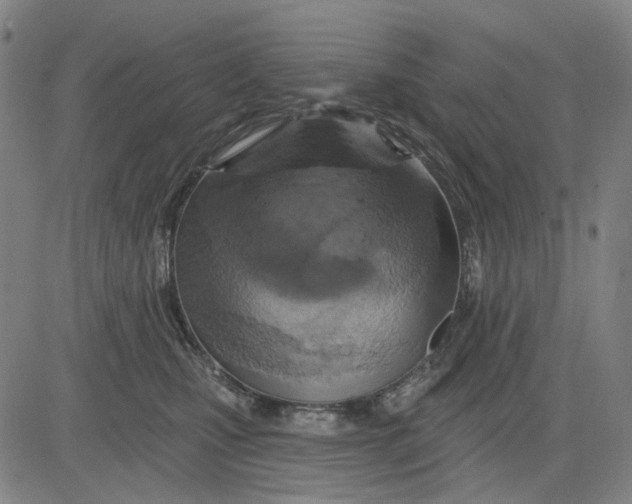 X0000083650471200703051731