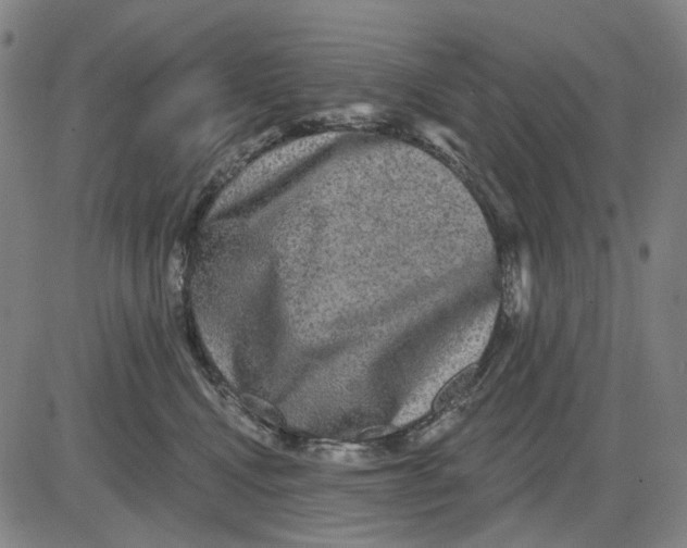 X0000083650472200703051731