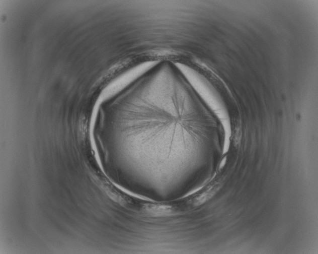 X0000083650476200703051731