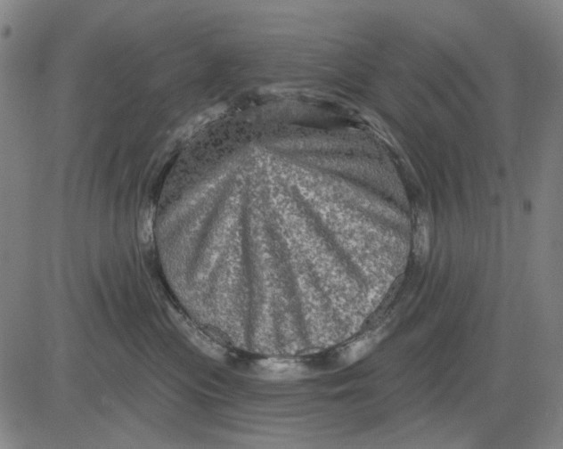 X0000083650477200703051731