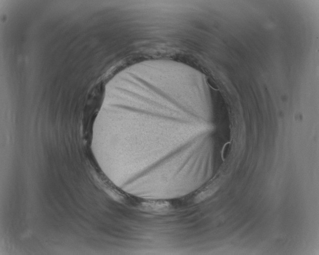 X0000083650480200703051731