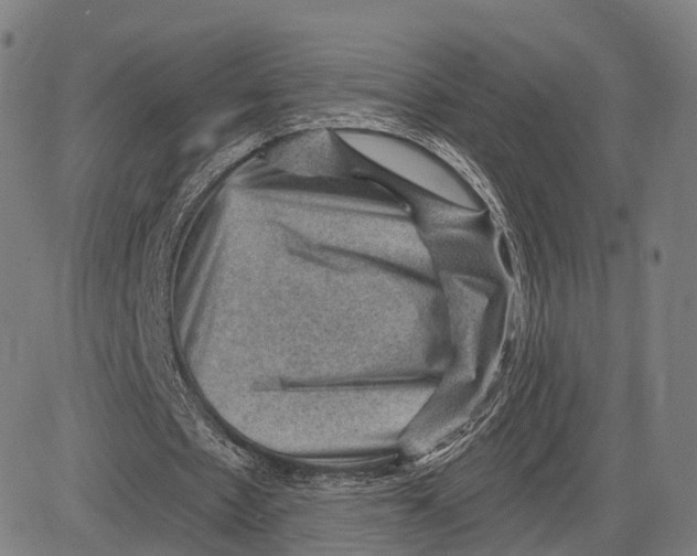 X0000083650481200703051730