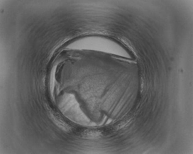 X0000083650491200703051730
