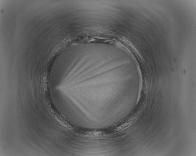 X0000083650497200703051730