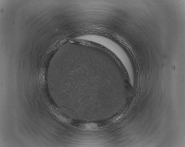 X0000083650501200703051730