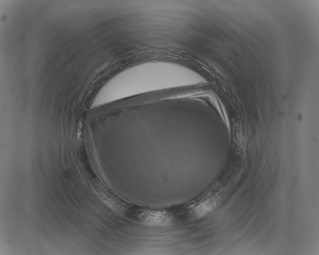 X0000083650507200703051730