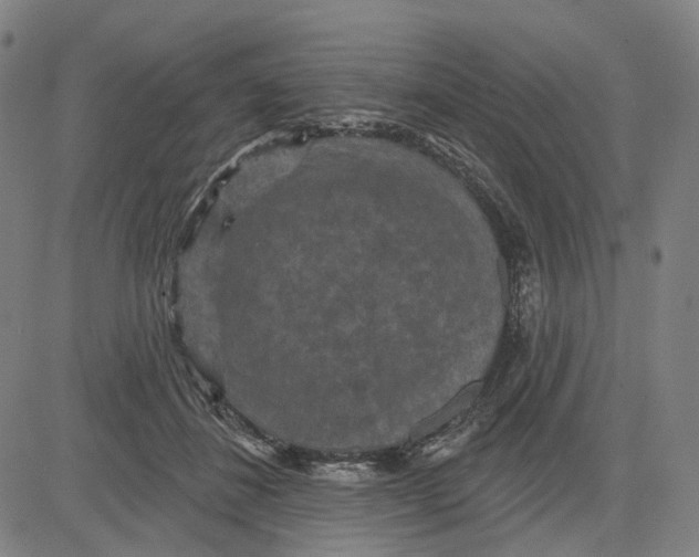 X0000083650508200703051730