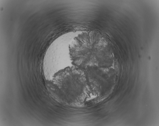 X0000083650511200703051730