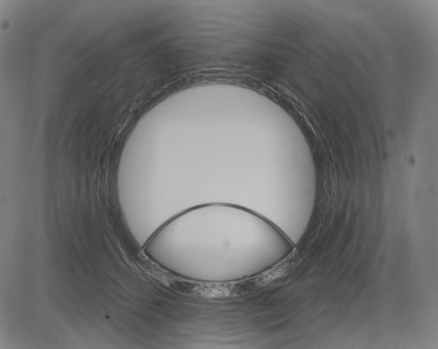 X0000083650512200703051730