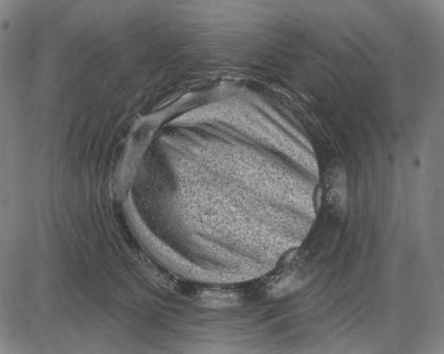 X0000083650515200703051729