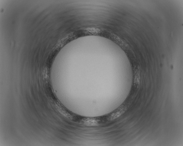 X0000083650518200703051729