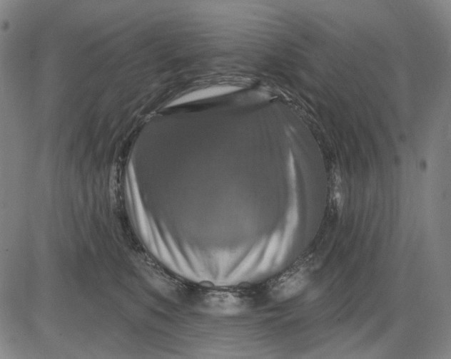 X0000083650519200703051729