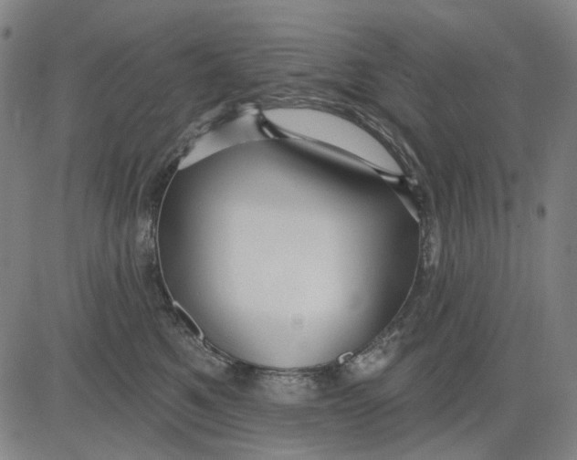 X0000083650521200703051729