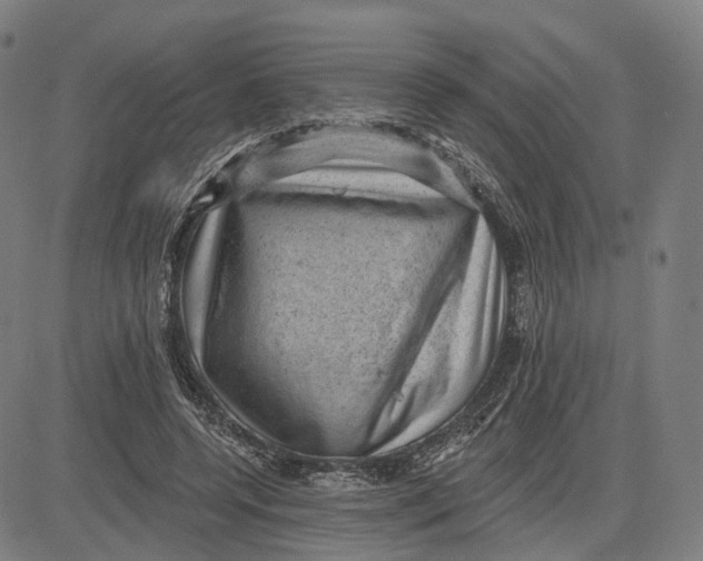 X0000083650544200703051729