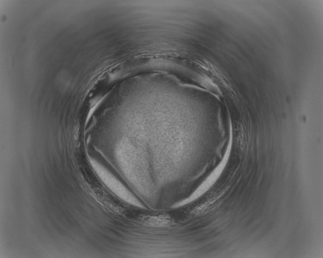 X0000083650548200703051729