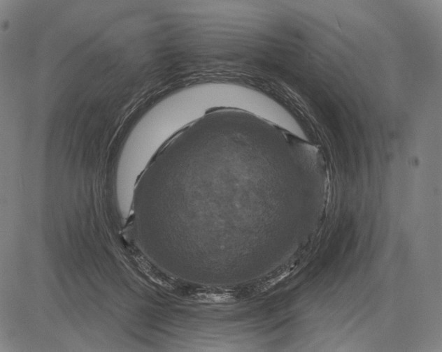 X0000083650552200703051729
