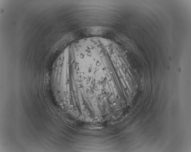 X0000083650555200703051729