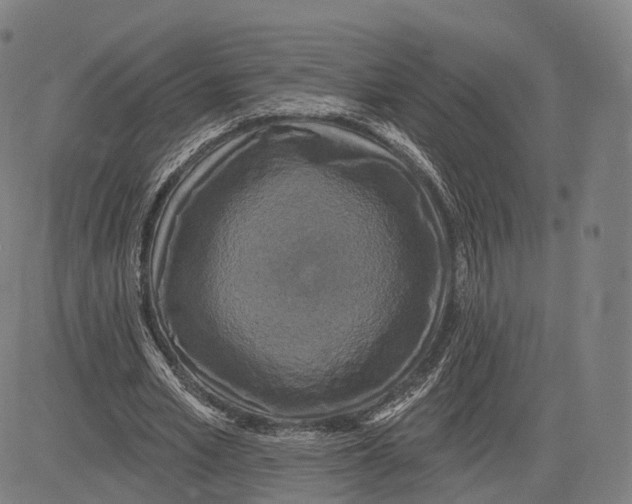 X0000083650581200703051728