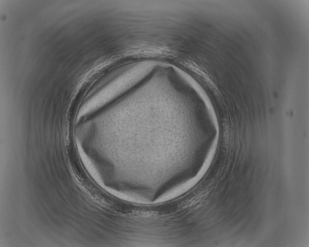 X0000083650582200703051728