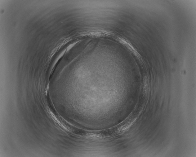 X0000083650585200703051728