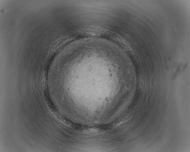 X0000083650594200703051728