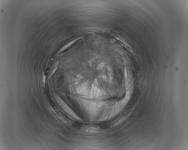 X0000083650597200703051728