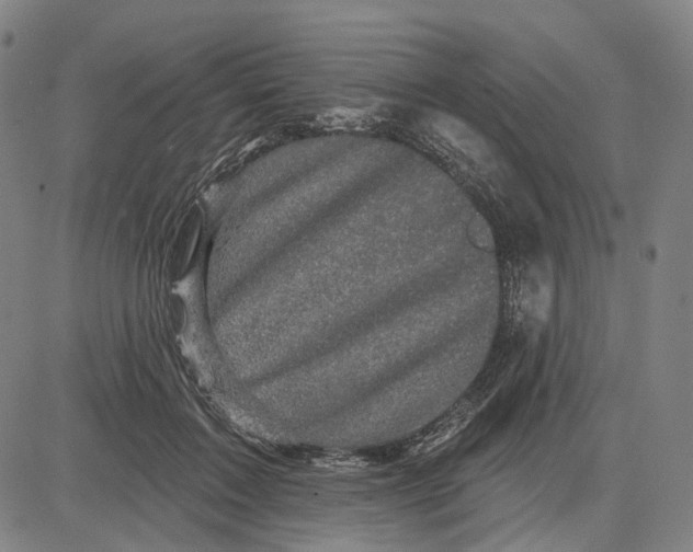 X0000083650603200703051728