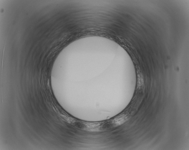 X0000083650606200703051728