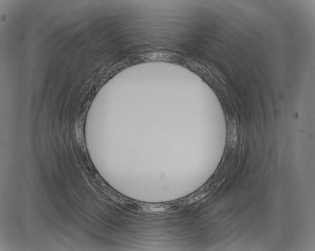 X0000083650607200703051728