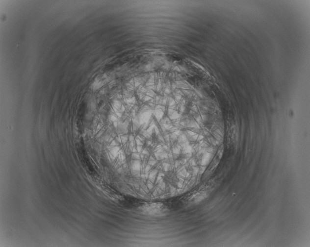 X0000083650609200703051728