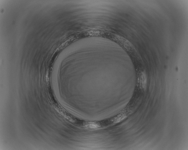 X0000083650610200703051728