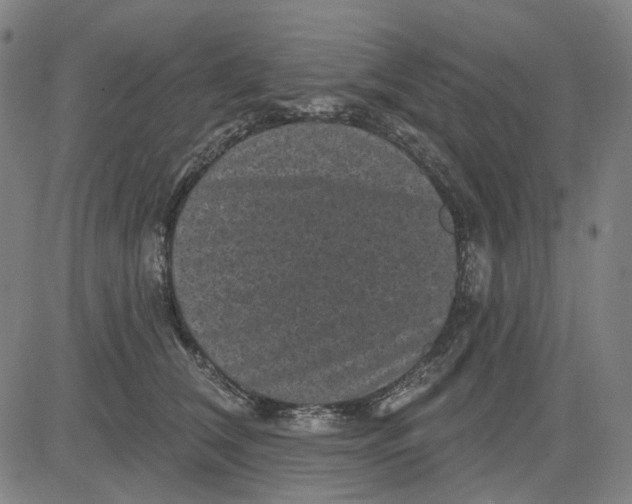 X0000083650612200703051728