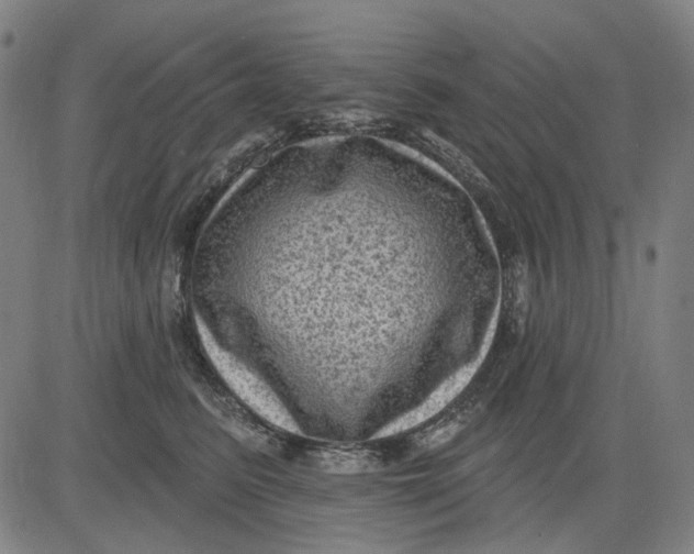 X0000083650615200703051728