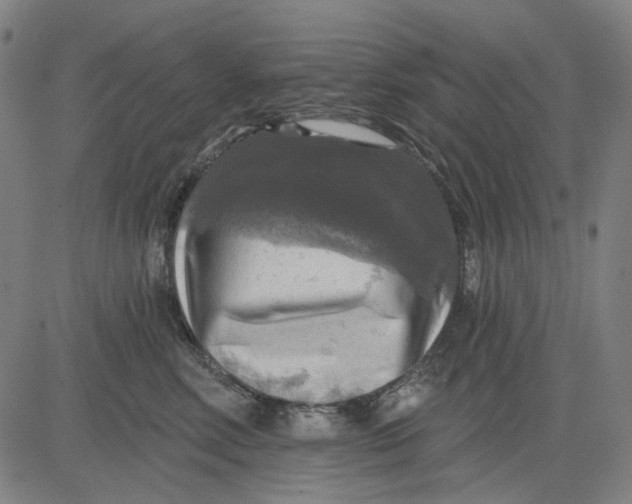 X0000083650618200703051728