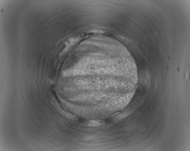 X0000083650623200703051728