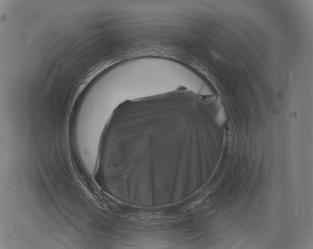 X0000083650626200703051727