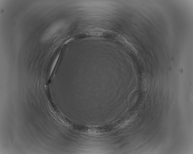 X0000083650641200703051727