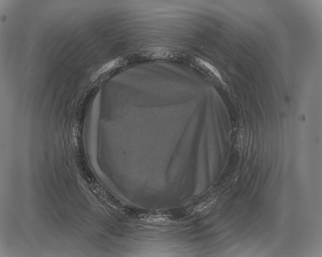 X0000083650643200703051727