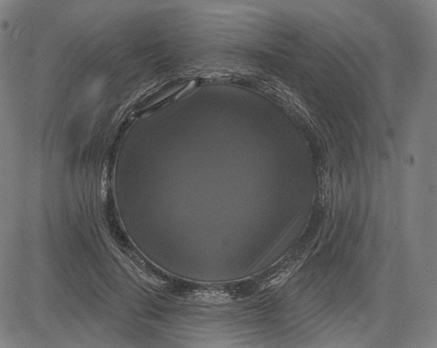 X0000083650644200703051727