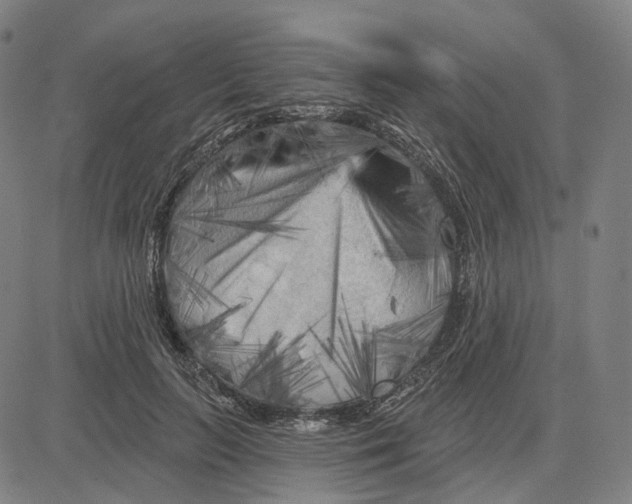 X0000083650647200703051727