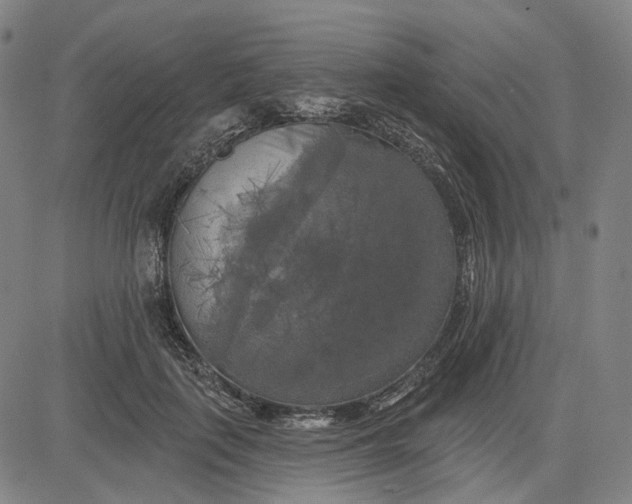 X0000083650651200703051727