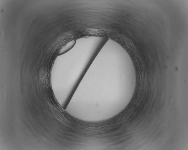 X0000083650653200703051727