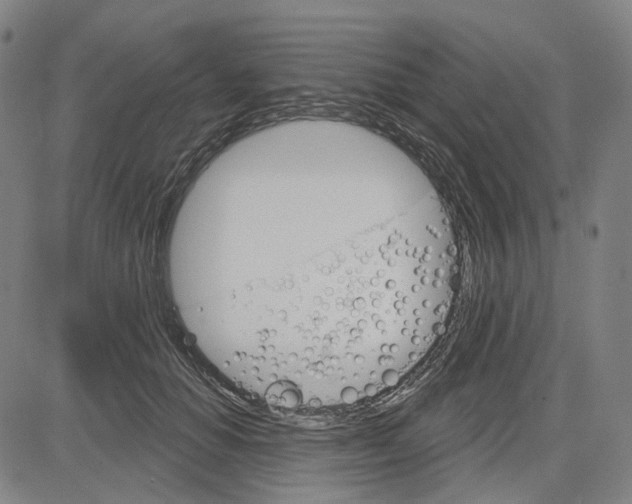 X0000083650654200703051727