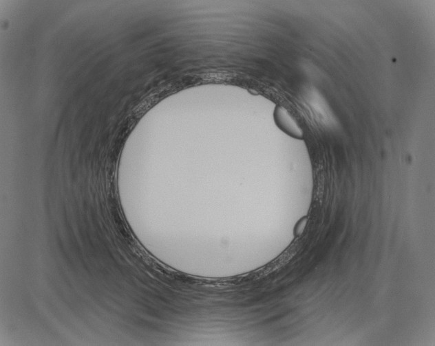 X0000083650655200703051727