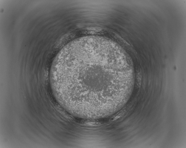 X0000083650657200703051727