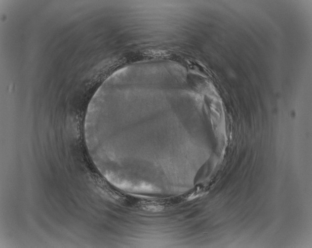 X0000083650658200703051727