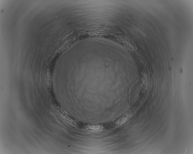 X0000083650659200703051727