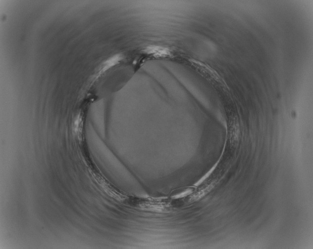 X0000083650661200703051727